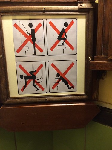 We apparently needed instructions on how to use the toilet here though